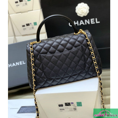 Ozarra - CHL Bags - 293