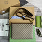 Ozarra - GG Bags - 457