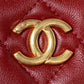 Ozarra - CHL Bags - 7361