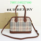 Ozarra Fashion -BBR Bags - 174