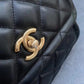 Ozarra - CHL Bags - 6395
