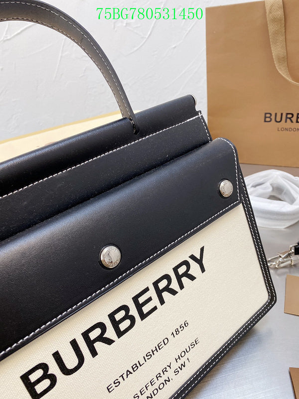 Ozarra Fashion -BBR Bags - 487