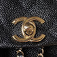 Ozarra - CHL Bags - 7563