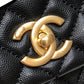 Ozarra - CHL Bags - 6723