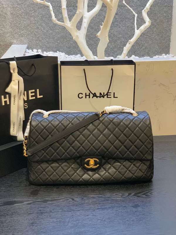 Ozarra - CHL Bags - 6756