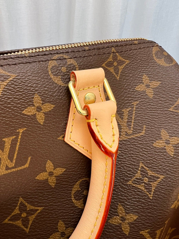 Ozarra Fashion Lu-Vi Bags - 16780