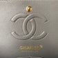 Ozarra - CHL Bags - 6657