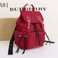 Ozarra Fashion -BBR Bags - 819
