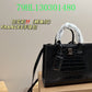 Ozarra Fashion -BBR Bags - 186