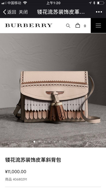 Ozarra Fashion -BBR Bags - 1146