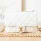 BAB - CHL Bags - 3130