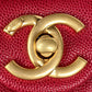 Ozarra - CHL Bags - 7589