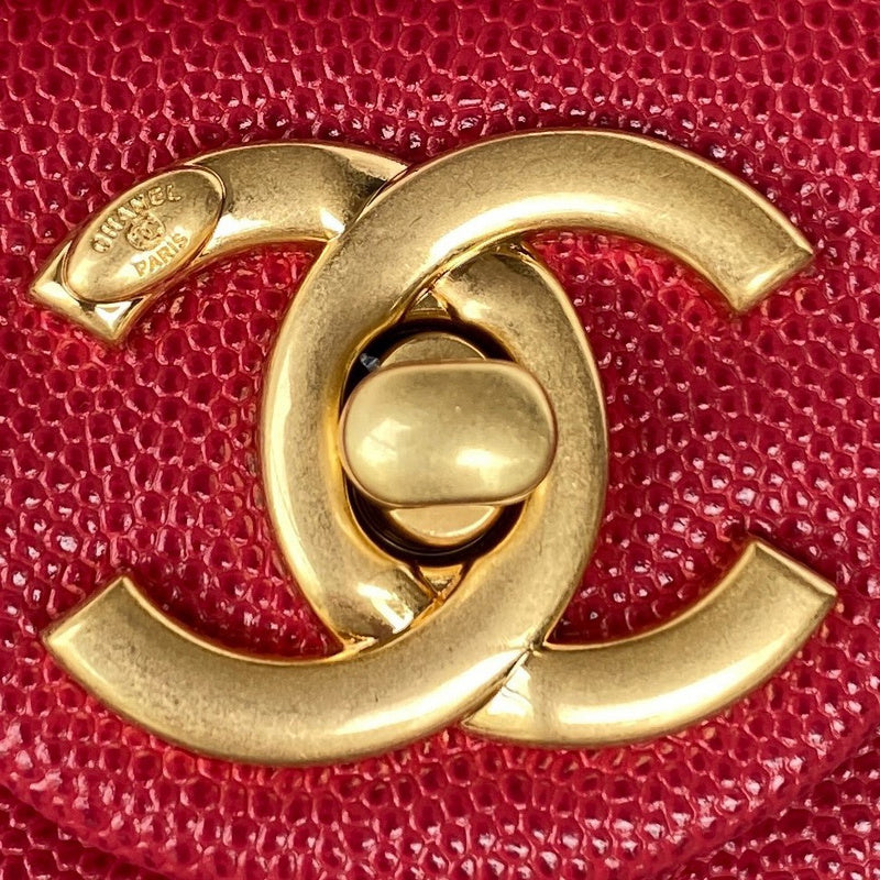 Ozarra - CHL Bags - 7589
