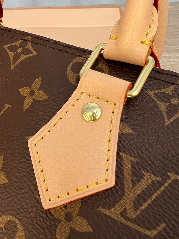 Ozarra Fashion Lu-Vi Bags - 16780