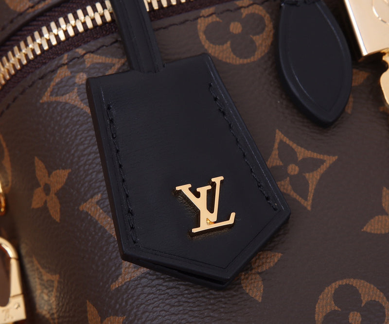 Ozarra Fashion Lu-Vi Bags - 16806
