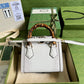 OZ - GCI Bags - 1069