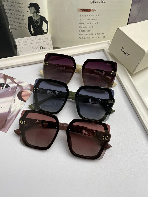 OZ - Dir Sunglasses - 116