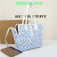Ozarra Fashion -BBR Bags - 597