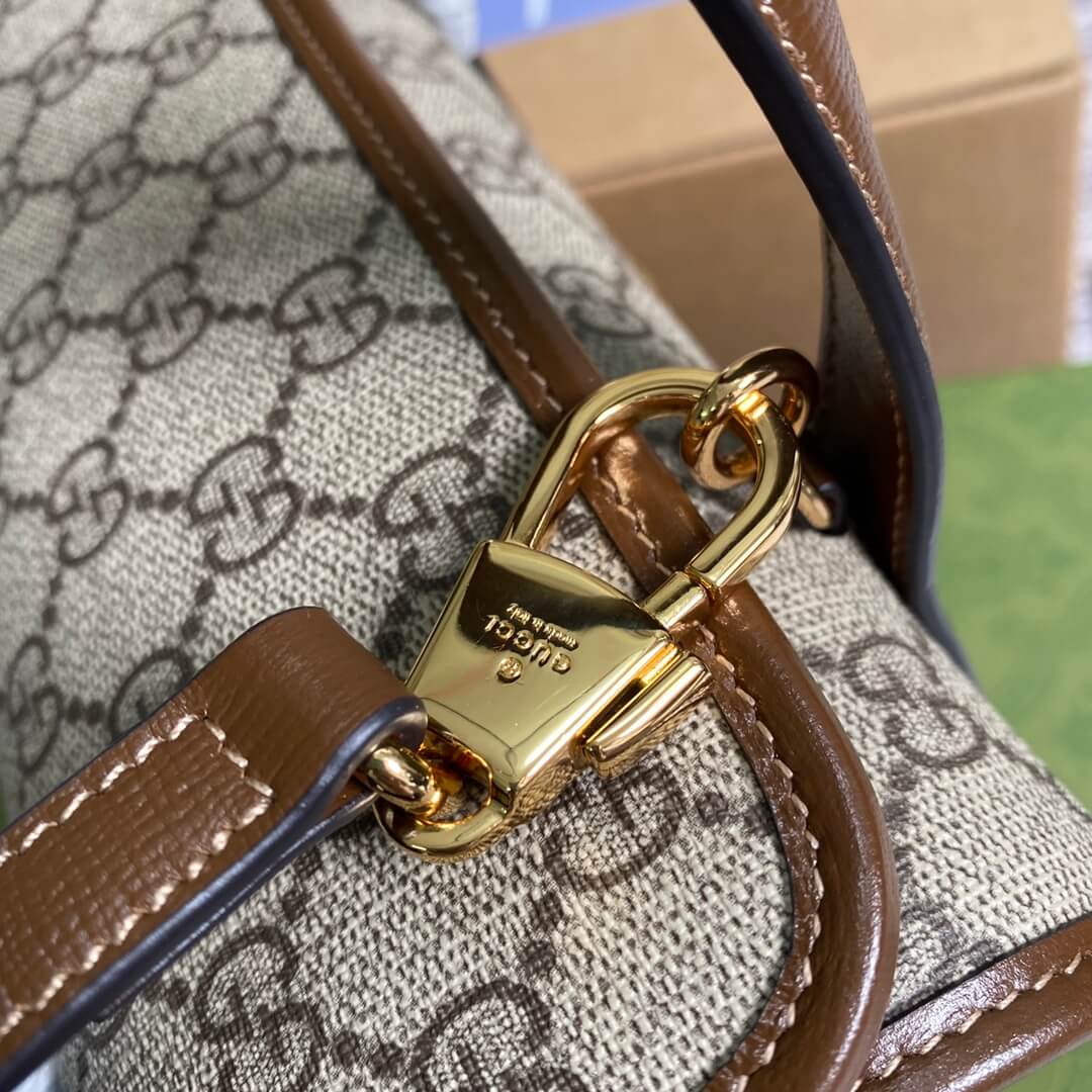 GC handbag Ophidia 645453 brown pvc