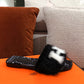 Luxury Shoes - HMS - 585