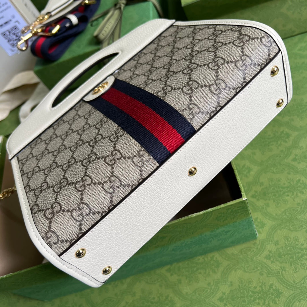 Luxury Bag - 029