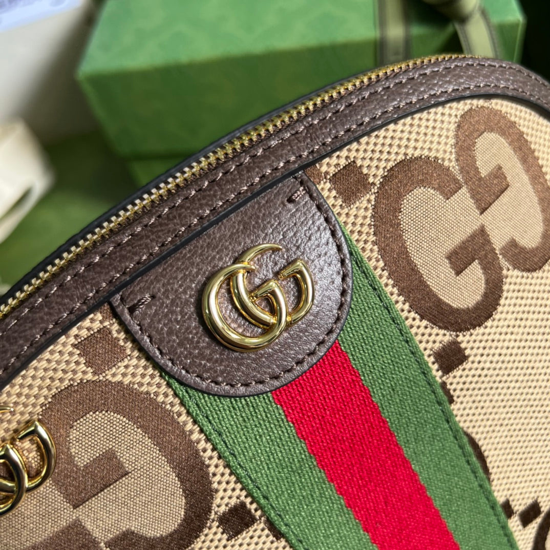 Luxury Bag - 109