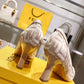 Luxury Shoes - FED - 303