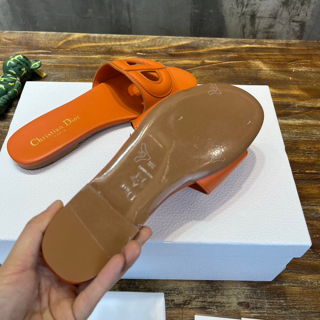 Luxury Shoes - DIR - 487