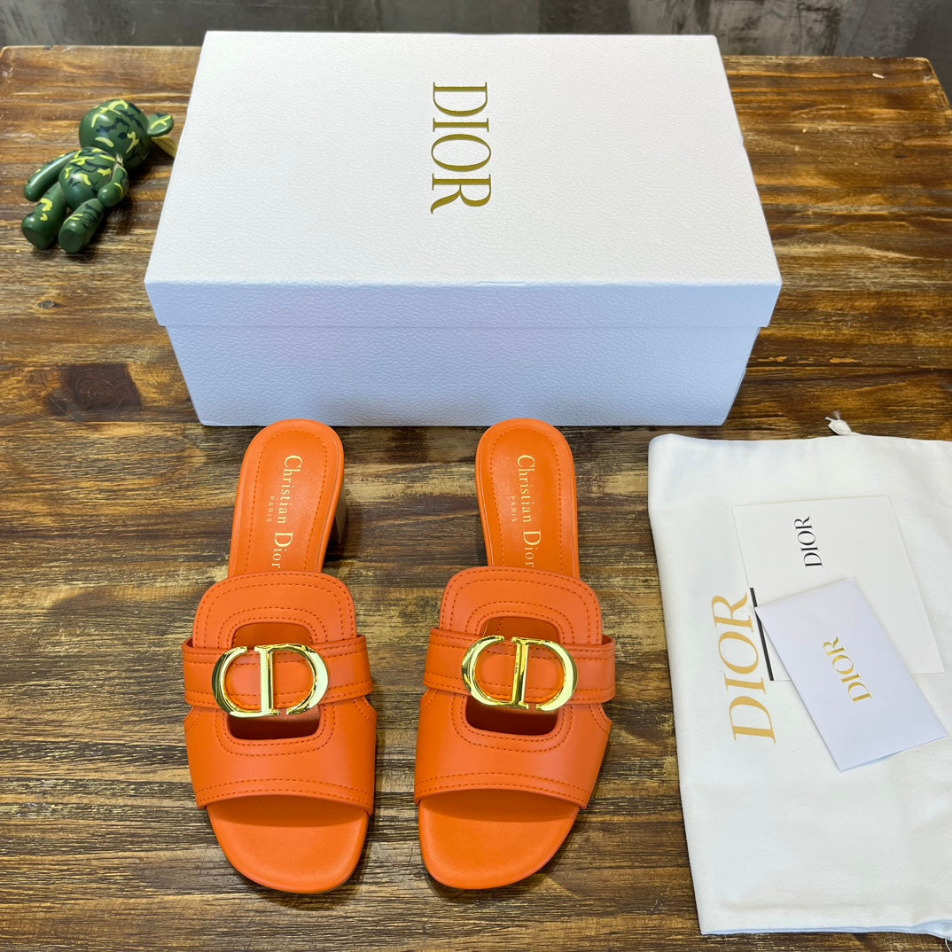 Luxury Shoes - DIR - 504