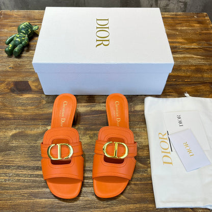 Luxury Shoes - DIR - 504