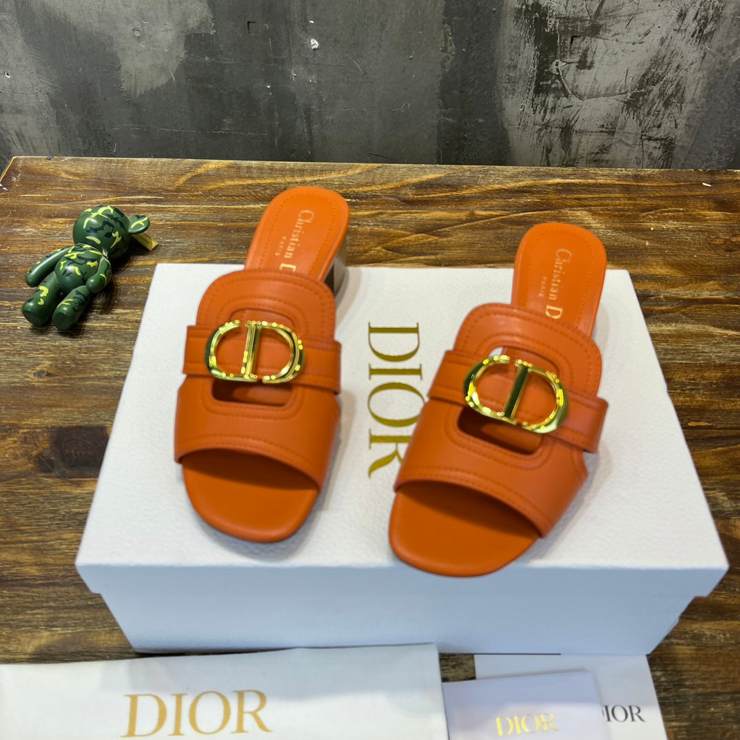 Luxury Shoes - DIR - 504