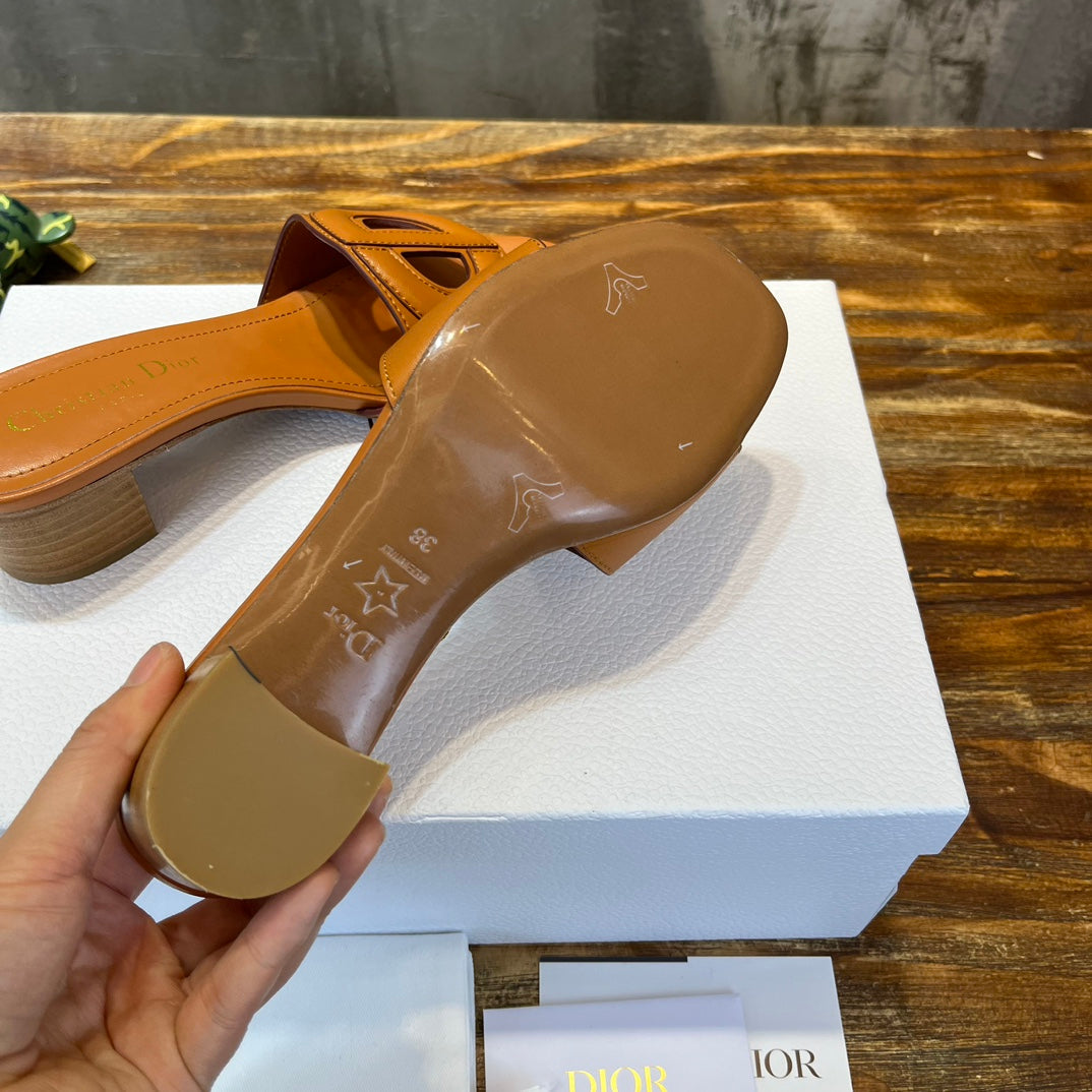 Luxury Shoes - DIR - 501