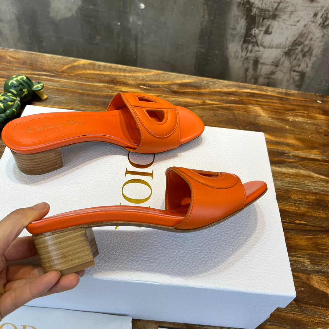 Luxury Shoes - DIR - 500