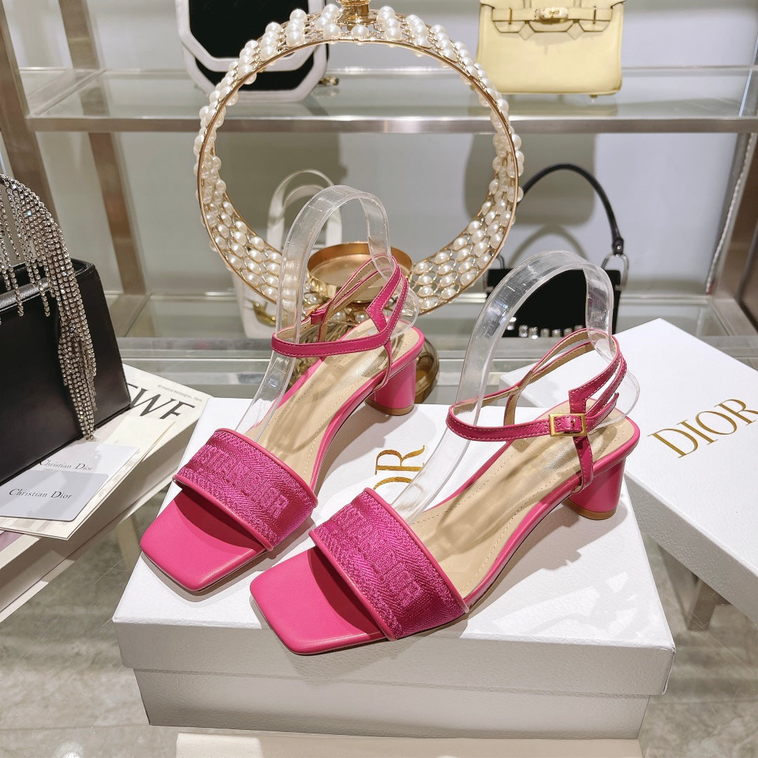 Luxury Shoes - DIR - 091