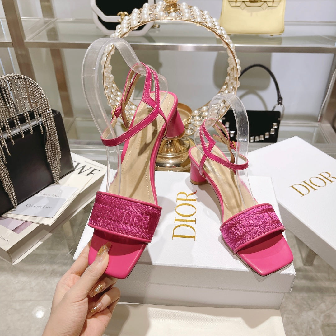 Luxury Shoes - DIR - 091