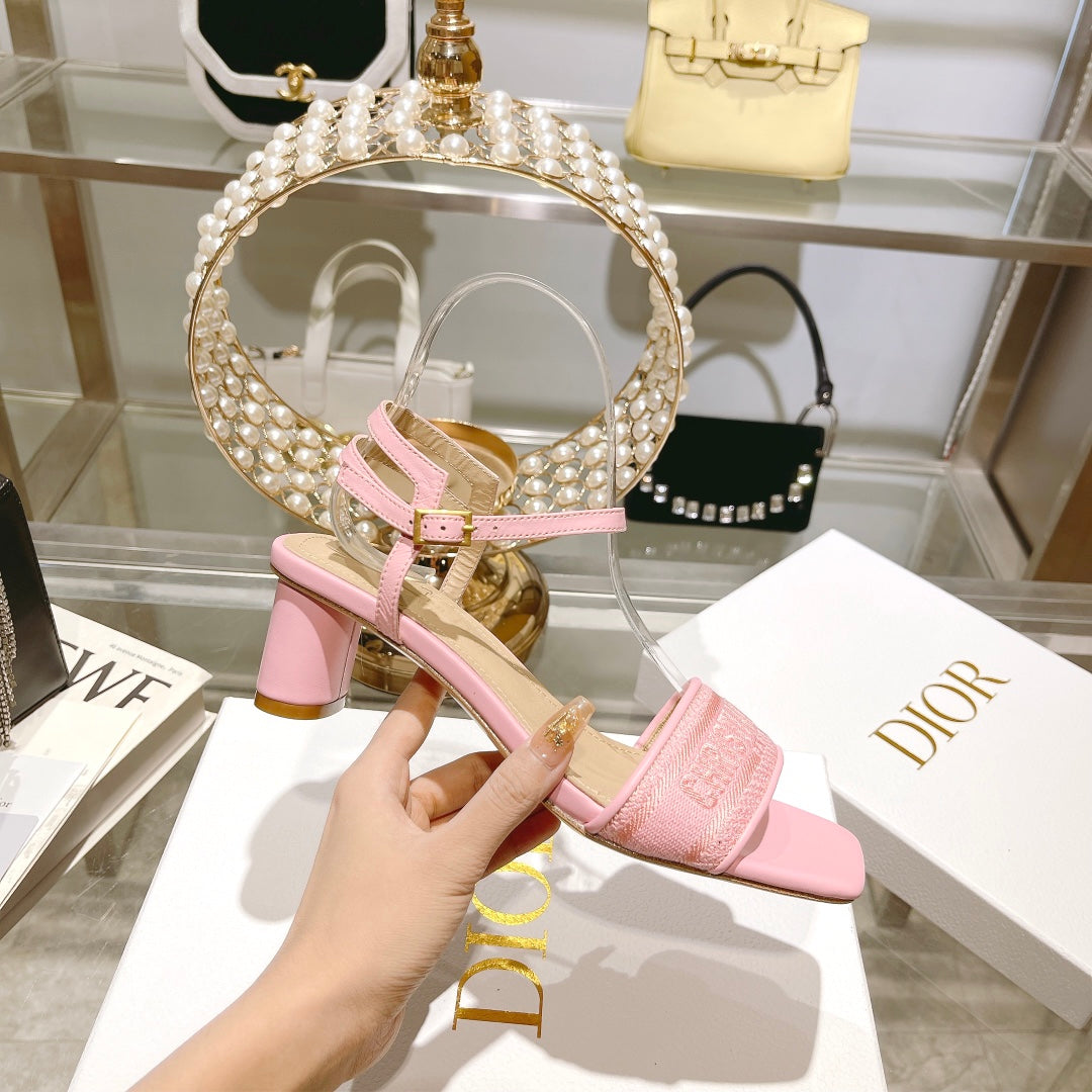 Luxury Shoes - DIR - 093