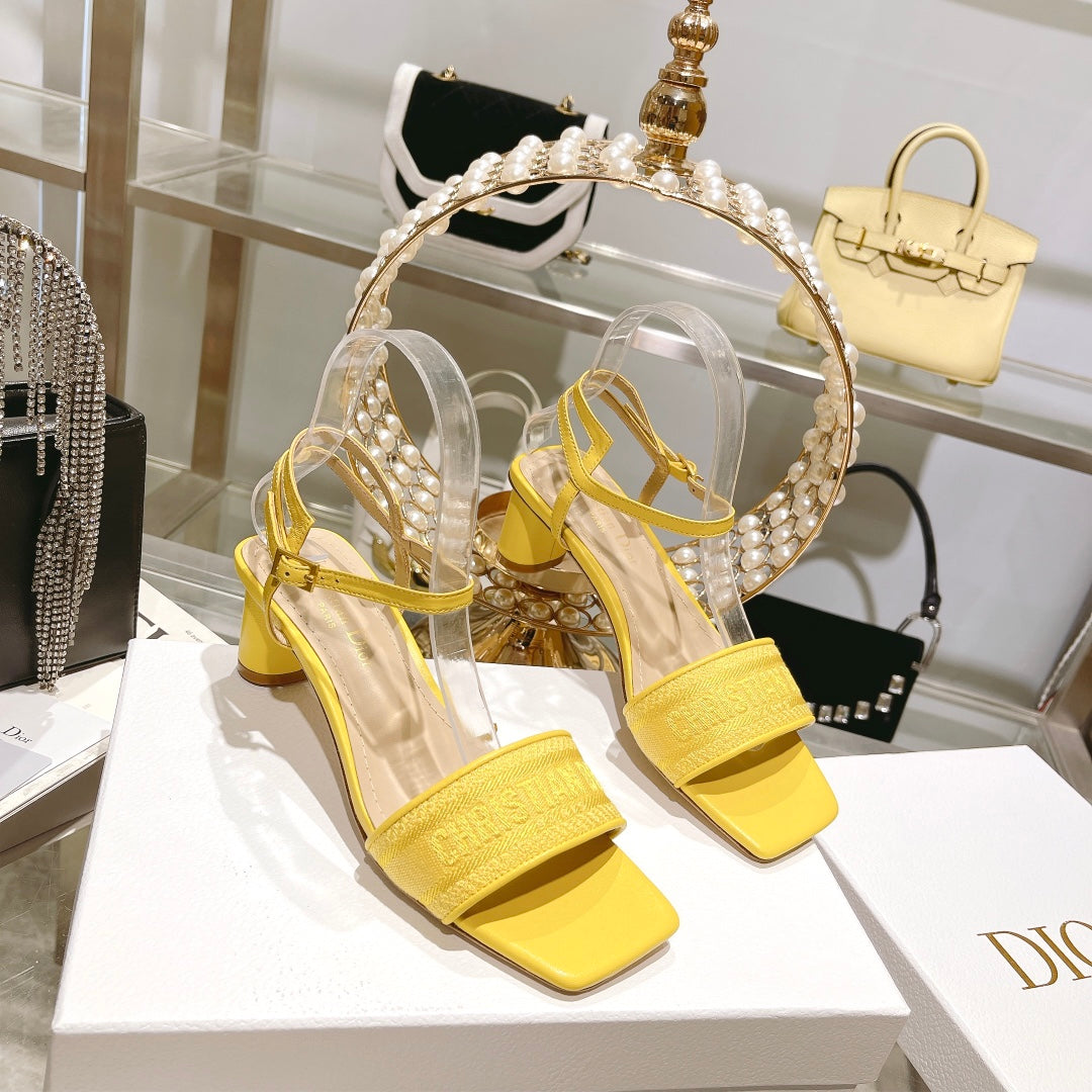 Luxury Shoes - DIR - 094