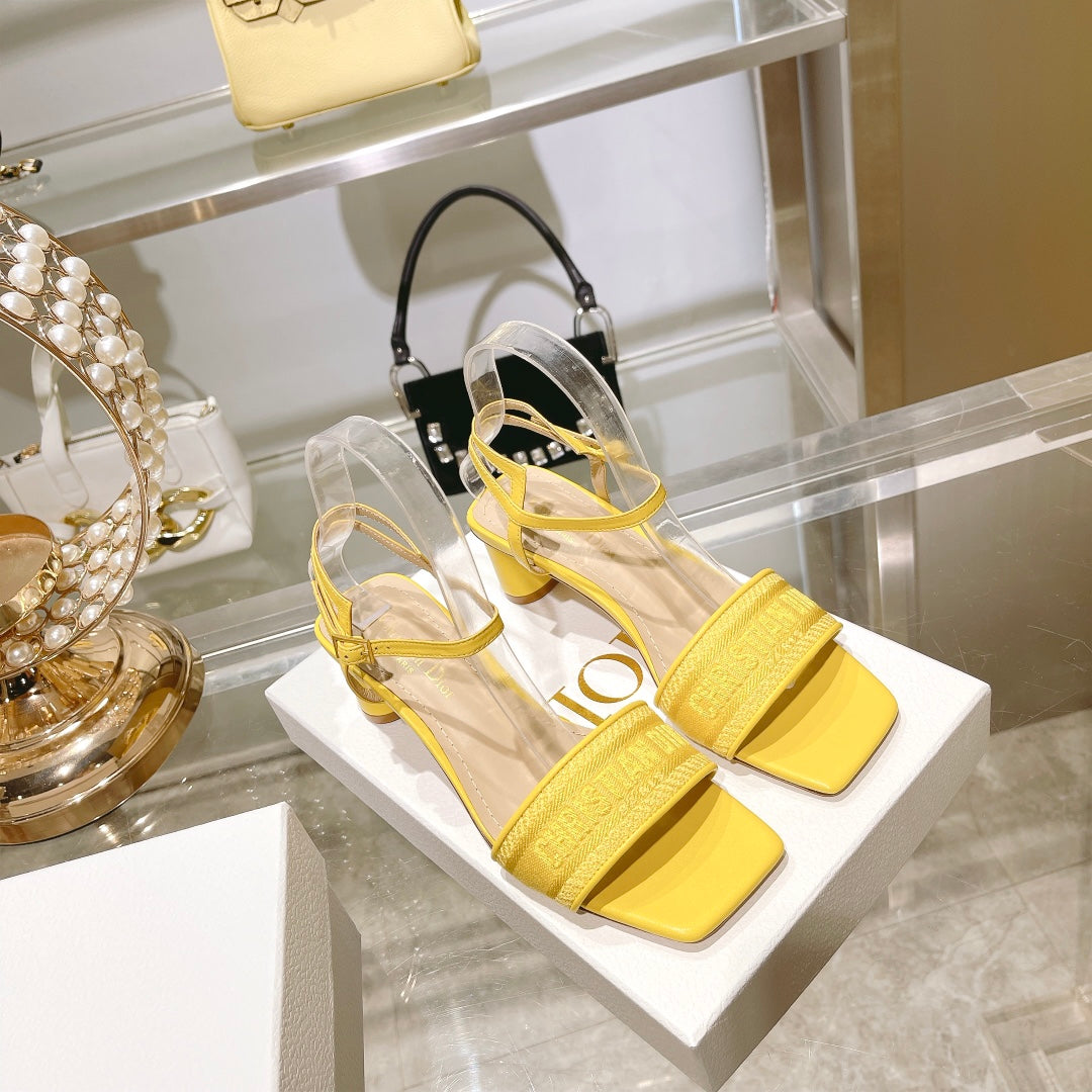 Luxury Shoes - DIR - 094