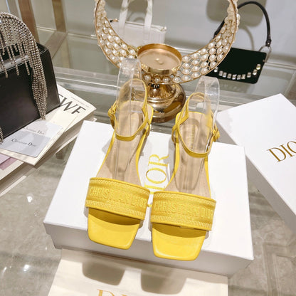 Luxury Shoes - DIR - 094