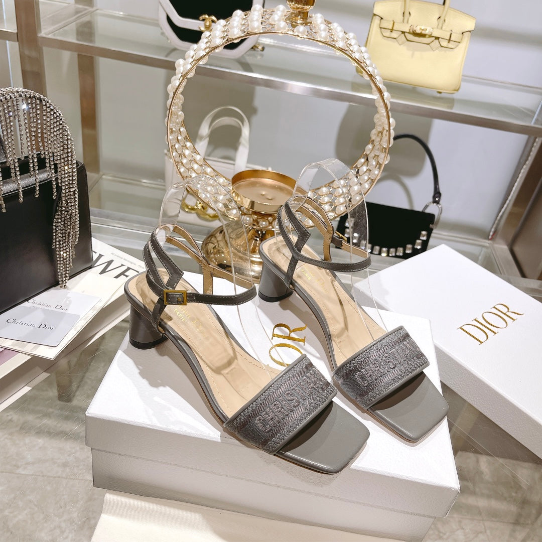 Luxury Shoes - DIR - 095