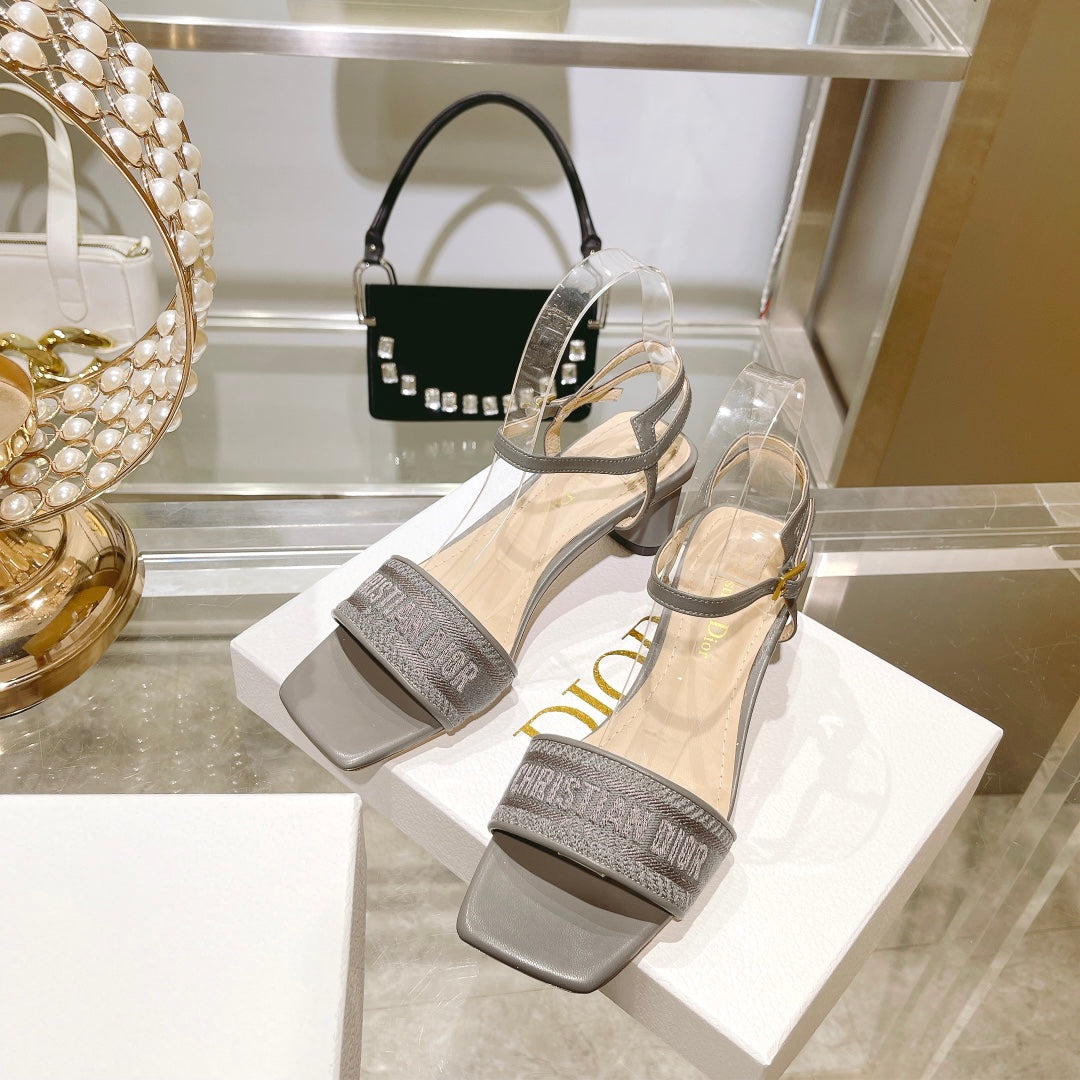 Luxury Shoes - DIR - 095