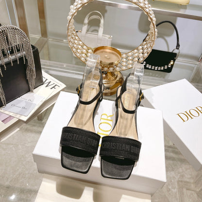Luxury Shoes - DIR - 097