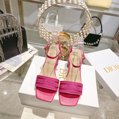 Luxury Shoes - DIR - 098