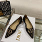 Luxury Shoes - DIR - 049
