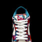 BL - Parra x SB Dunk Low