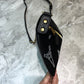 Balen Souvenir XS Belt Bag In Black, For Women,  Bags 9.5in/24cm