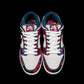 BL - Parra x SB Dunk Low