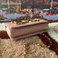 DG DG Girls CrossBody Bag Pink For Women 8.3in/21cm DG BB6498AZ80180412