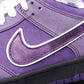BL - Concepts Purple Lobster