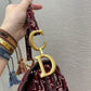DI Saddle Bag Red For Women 10in/26cm CD M0446CTZQ_M17E